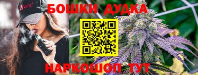 стафф Ставрополь